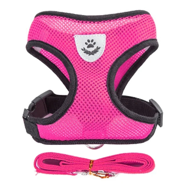 Pet-friendly harness vest for cats & dogs, easy to wear and remove with quick-release buckles