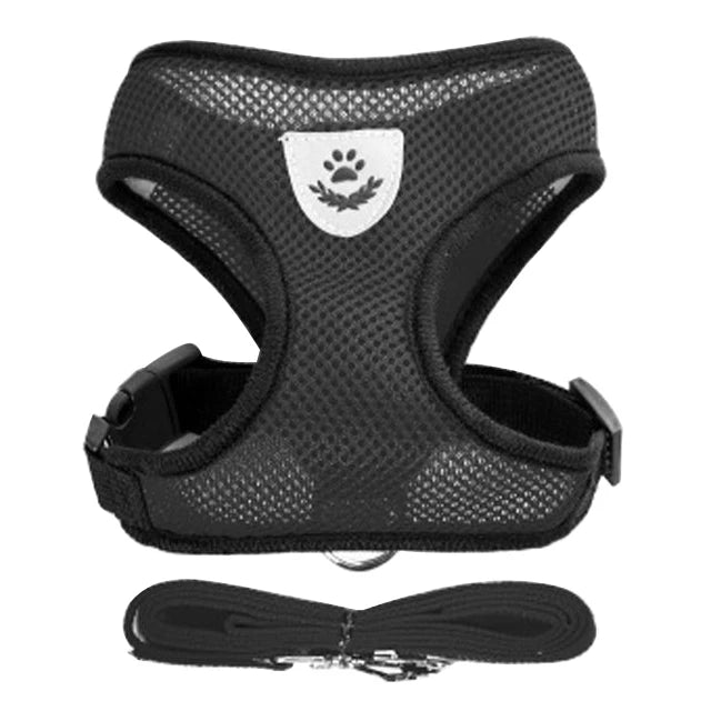 Modern and comfortable harness vest for cats & dogs, crafted for safety and ease of use