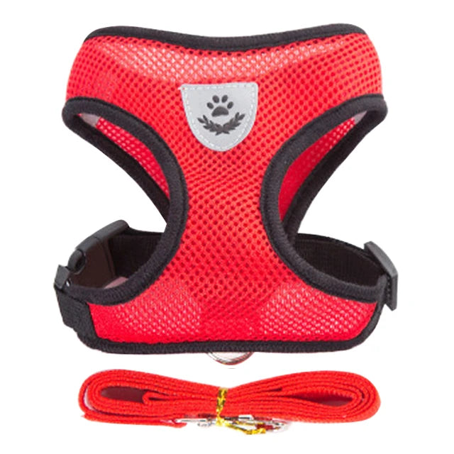 Adjustable harness vest for cats & dogs, ideal for small breeds and ensuring a perfect fit