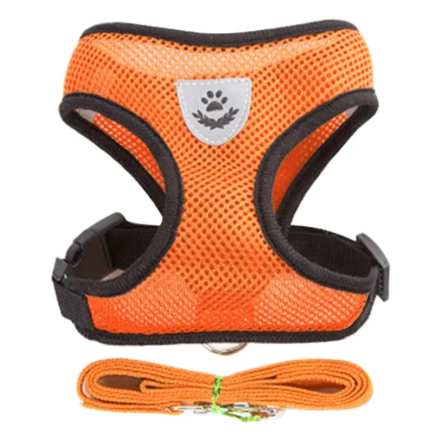 High-quality harness vest for cats & dogs, providing a secure and escape-proof experience