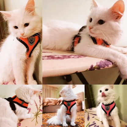 Escape-proof Harness Vest for Cats & Dogs, featuring secure adjustable straps