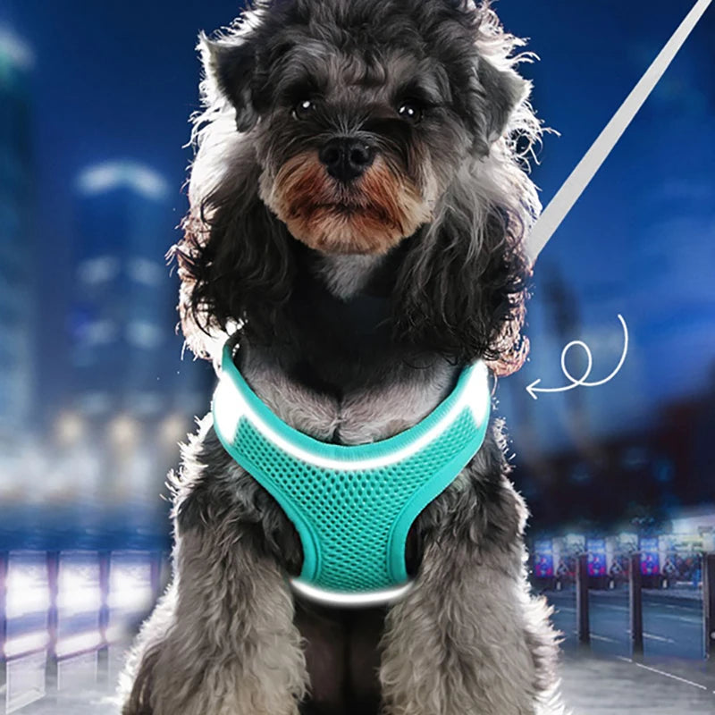 Adjustable Reflective Dog Harness Set for a secure fit on any dog