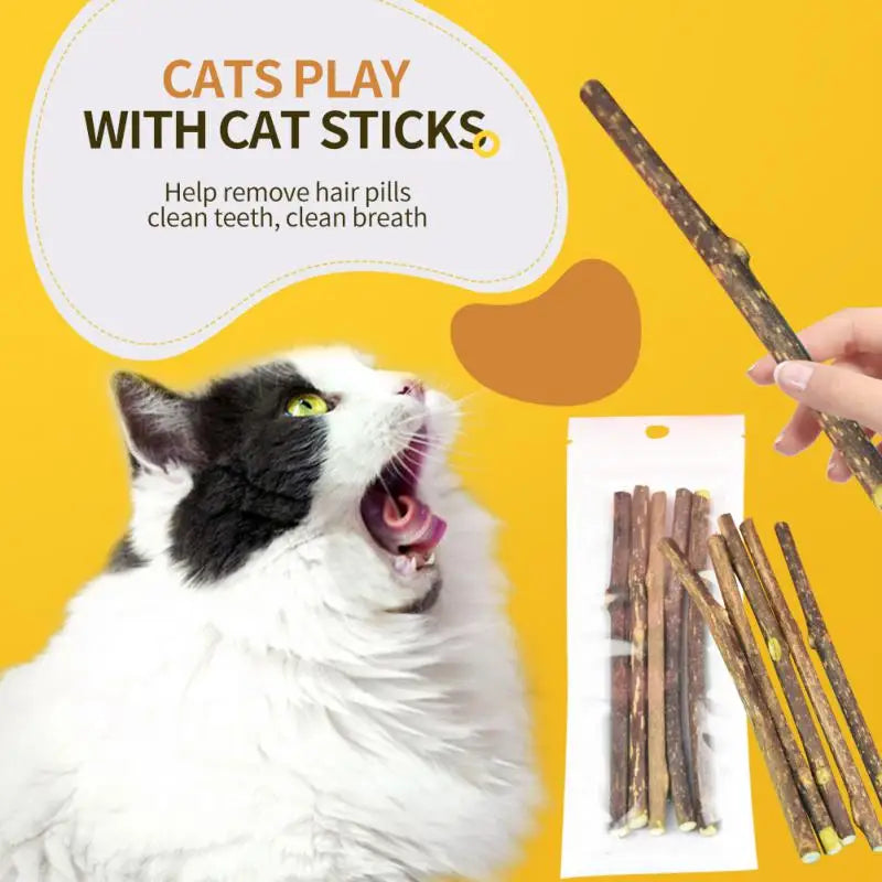 Dental Care - Chew Sticks for Cats infused with catnip for playful fun.