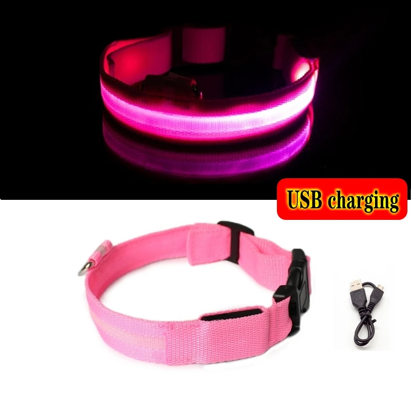 Safety LED Dog Collar helps your dog stay visible from a distance during night walks