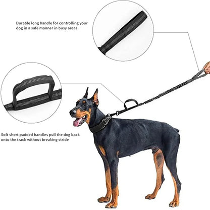 Stylish Dog Collar and Leash Set combining fashion and functionality for your pet