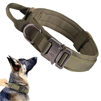 Comfortable, adjustable Dog Collar and Leash Set designed for active dogs