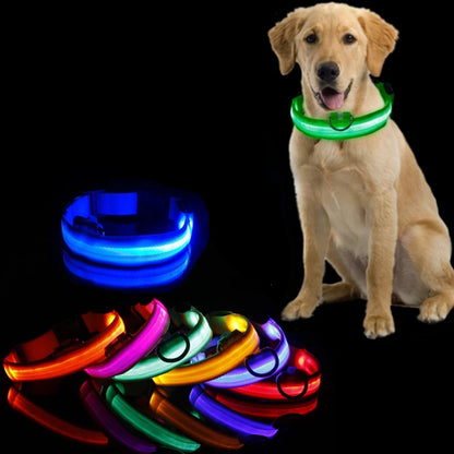 Safety LED Dog Collar for enhanced visibility during nighttime walks