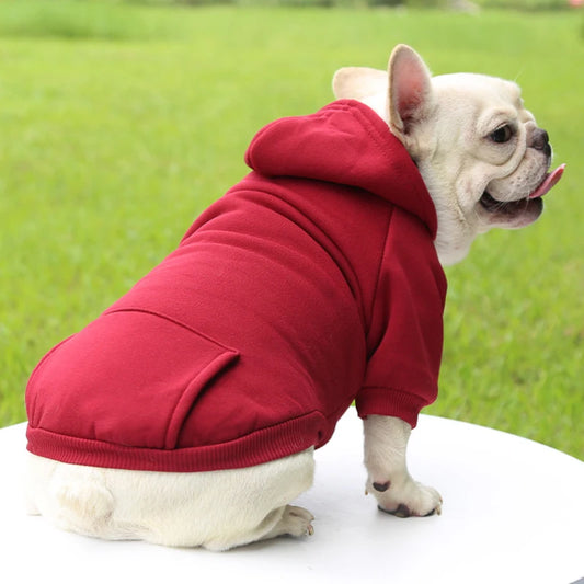 Warm Winter Hoodie for Dog providing ultimate comfort and style for your furry friend