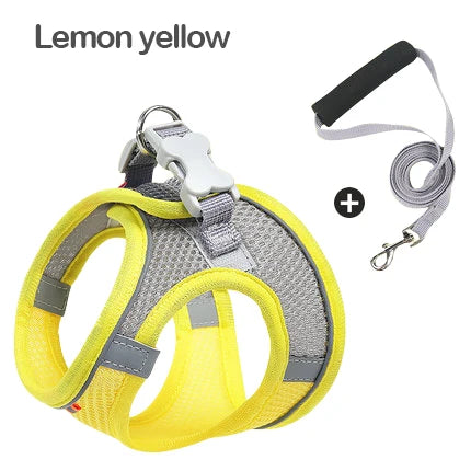 Lightweight Reflective Dog Harness Set designed for safe adventures