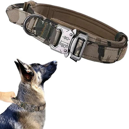 Perfect for hiking and outdoor exploration, the Dog Collar and Leash Set offers ultimate control