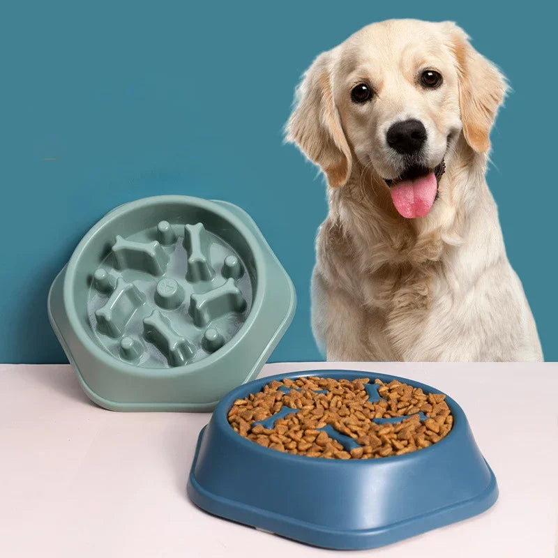 Anti-Choking Dog Feed Bowl slowing down fast eaters for safer meals