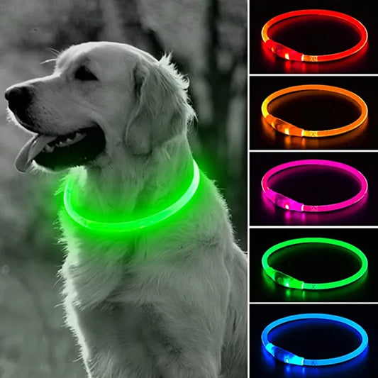 LED Dog Collar Rechargeable with bright, adjustable light for enhanced safety and visibility during nighttime walks