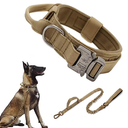 Durable Dog Collar and Leash Set for secure training and outdoor adventures