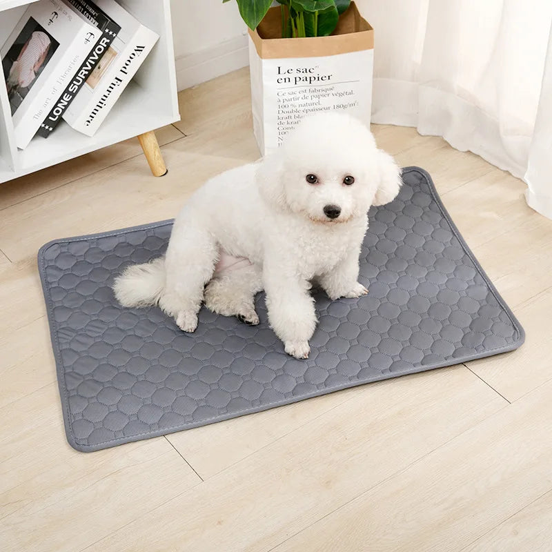 Soft and durable, the Reusable Dog Training Pad ensures your dog stays comfortable