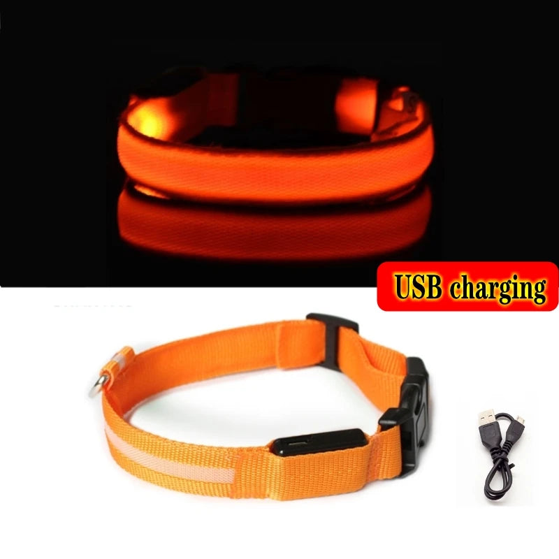 Safety LED Dog Collar offers comfort and protection for your dog during night-time play