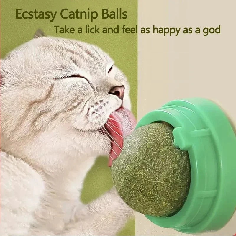 Catnip Scratching Toy for Cats promoting healthy scratching and play