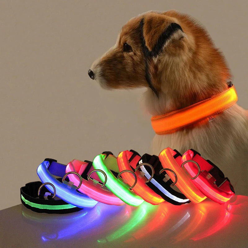 Bright and durable Safety LED Dog Collar keeps your dog safe in the dark