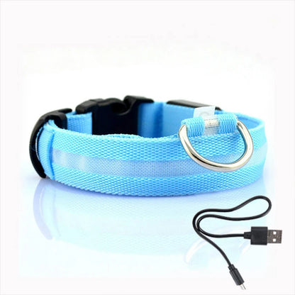 Convenient USB rechargeable Safety LED Dog Collar for easy power-up