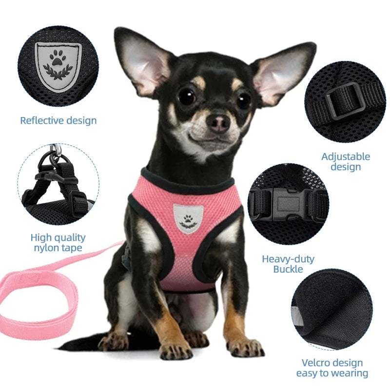 Lightweight Harness Vest for Cats & Dogs, perfect for daily strolls and outdoor adventures