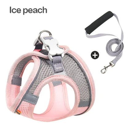 Stylish Reflective Dog Harness Set combining functionality and safety