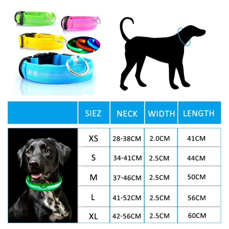 Keep your pup safe with the waterproof and sturdy Safety LED Dog Collar