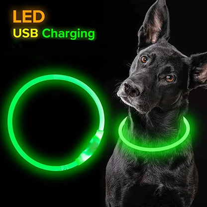 Rechargeable LED Dog Collar Rechargeable designed for easy USB charging, providing continuous light and safety for your dog