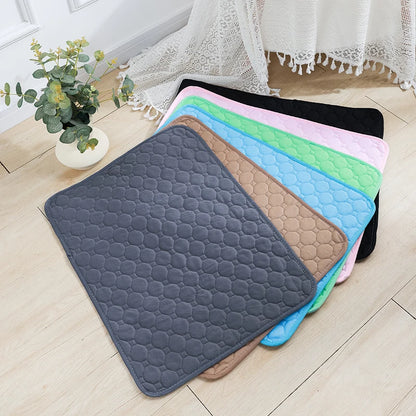 Eco-friendly Reusable Dog Training Pad reduces waste while providing comfort for your pet