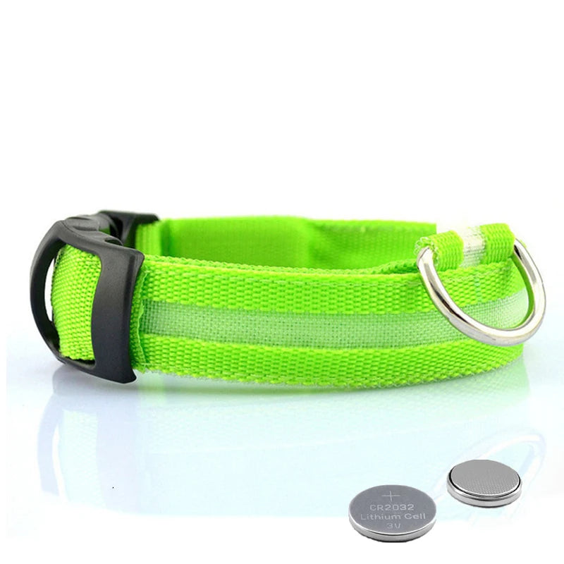 Safety LED Dog Collar ensures high visibility for evening outdoor adventures