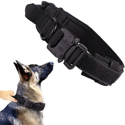 Dog Collar and Leash Set with heavy-duty clasp for secure attachment during outdoor activities