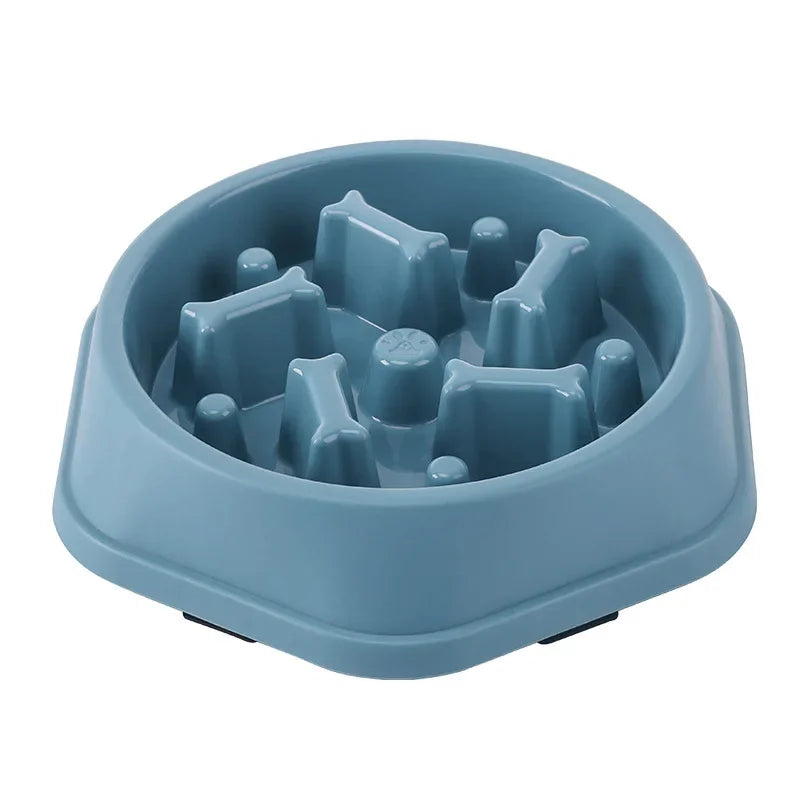 Modern slow feeder dog bowl promoting healthy eating habits