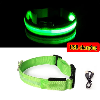 Never worry about losing your pup at night again with the Safety LED Dog Collar