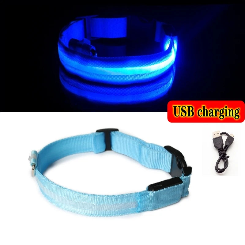 Make nighttime walks safer and more enjoyable with the Safety LED Dog Collar