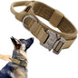 Adjustable Dog Collar and Leash Set ensures a comfortable fit for medium to large dogs