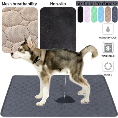 Reusable Dog Training Pad absorbs quickly, keeping your pet’s area clean and dry