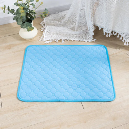 Convenient and eco-friendly, the Reusable Dog Training Pad saves you money and waste