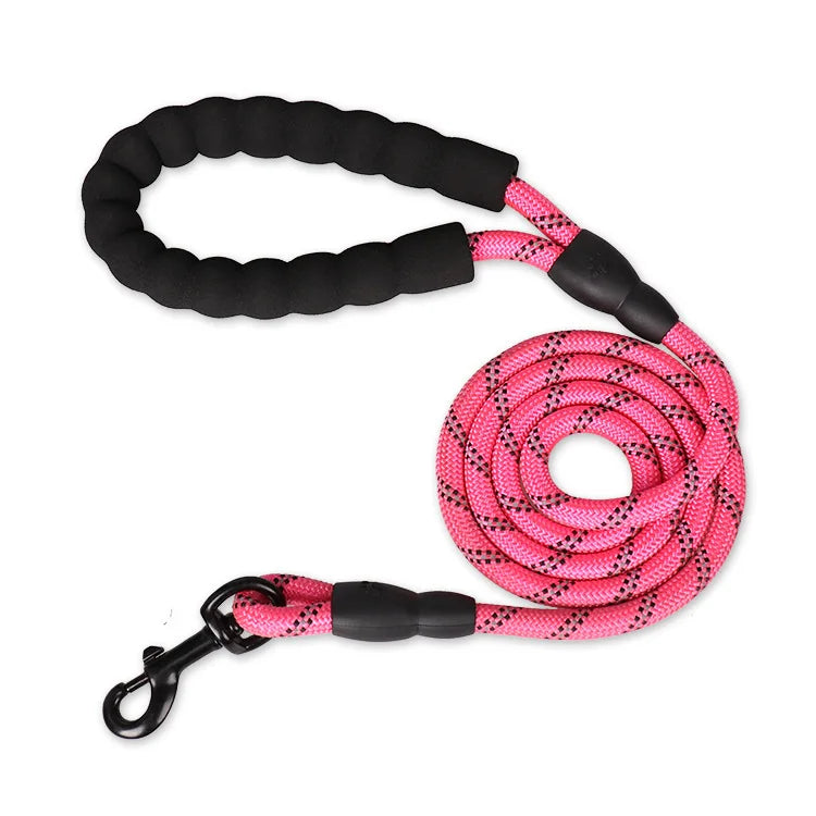 Comfortable Dog Walking Leash ensuring secure handling during active walks