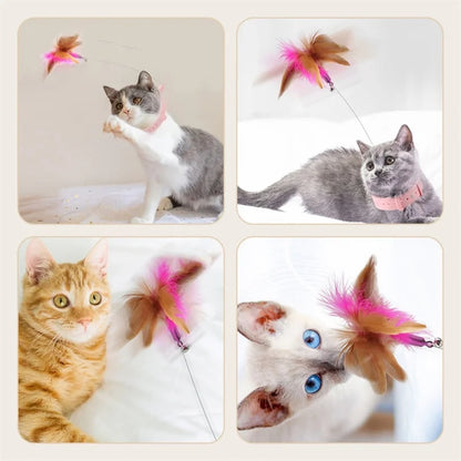 Exciting Interactive Feather Toy for Cat that encourages healthy exercise and mental stimulation during every play session