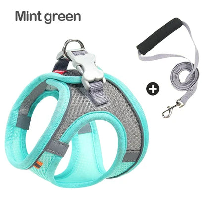 Reflective Dog Harness Set perfect for safer and more enjoyable walks