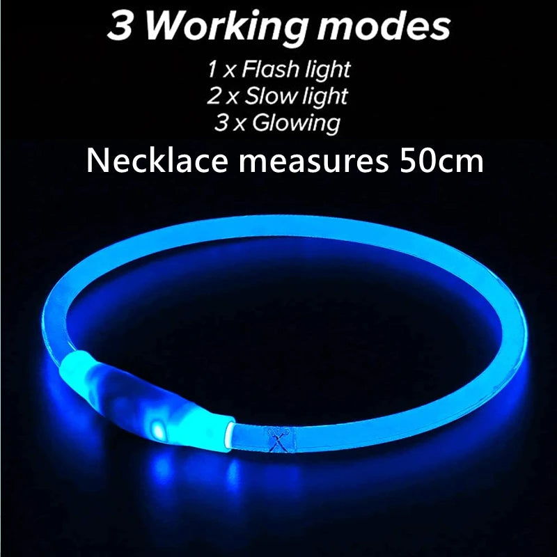 Bright and durable LED Dog Collar Rechargeable, offering long-lasting visibility for your pet during night walks