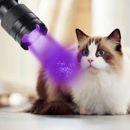 UV Light for Pet Stain Detection reveals hidden stains on carpets and furniture