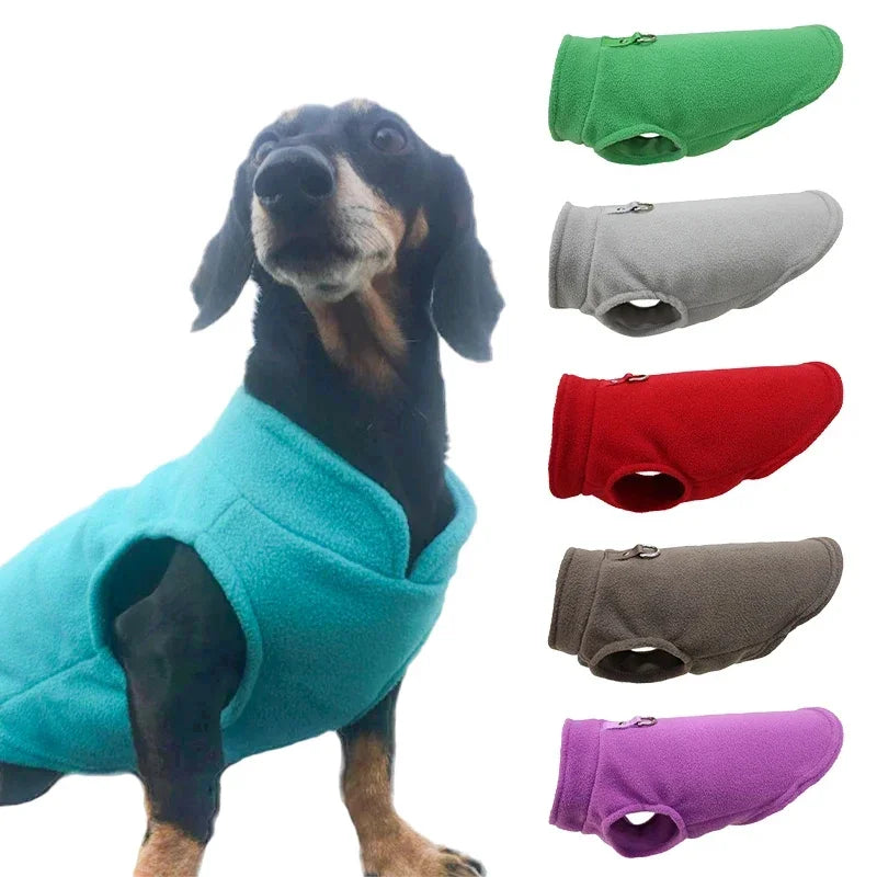 Golden retriever wearing the Fleece Dog Jacket Stylish & Warm, perfect for winter walks