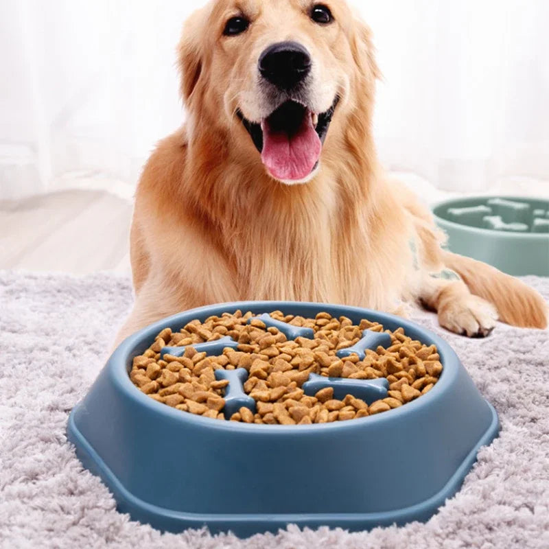 Durable, non-slip dog feed bowl designed to improve digestion