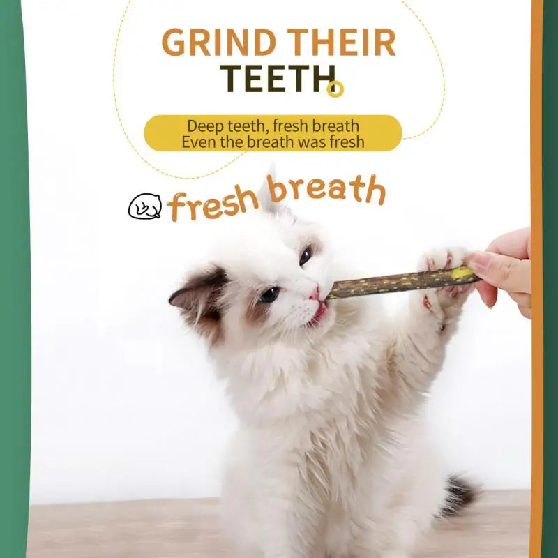 Healthy, natural Dental Care - Chew Sticks for Cats for kittens and adult cats.