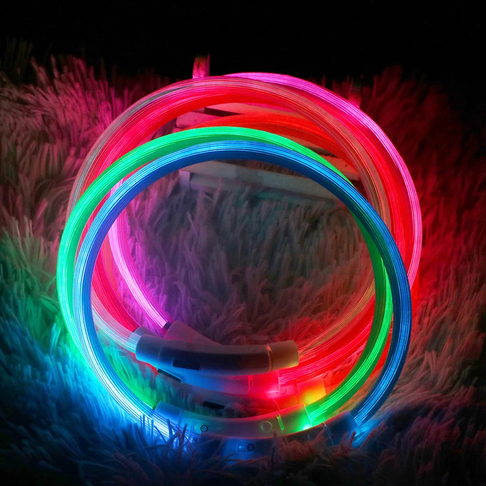 Durable and weatherproof LED Dog Collar Rechargeable, perfect for outdoor adventures and keeping your pet visible in low-light conditions