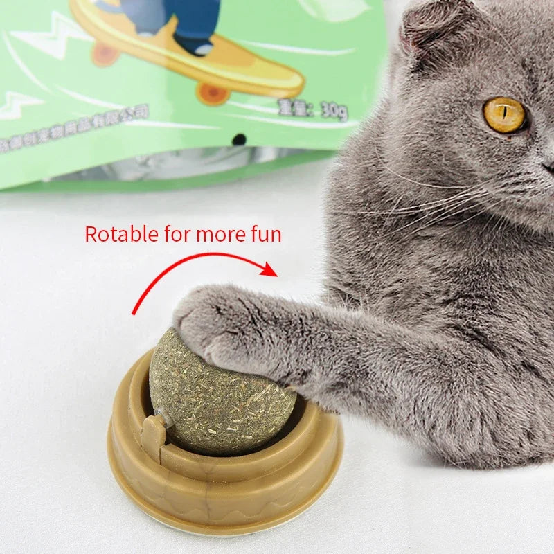 Durable Catnip Scratching Toy for Cats for endless fun and engagement