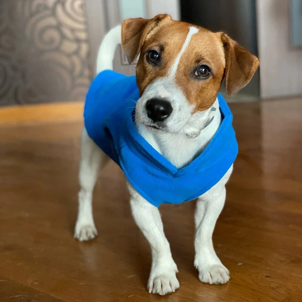 Dog running outdoors in the Fleece Dog Jacket Stylish & Warm, enjoying a chilly winter day