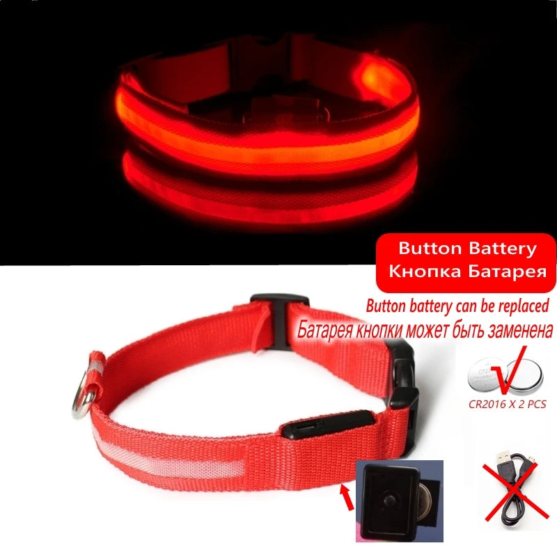 Rechargeable Safety LED Dog Collar for reliable, long-lasting nighttime safety